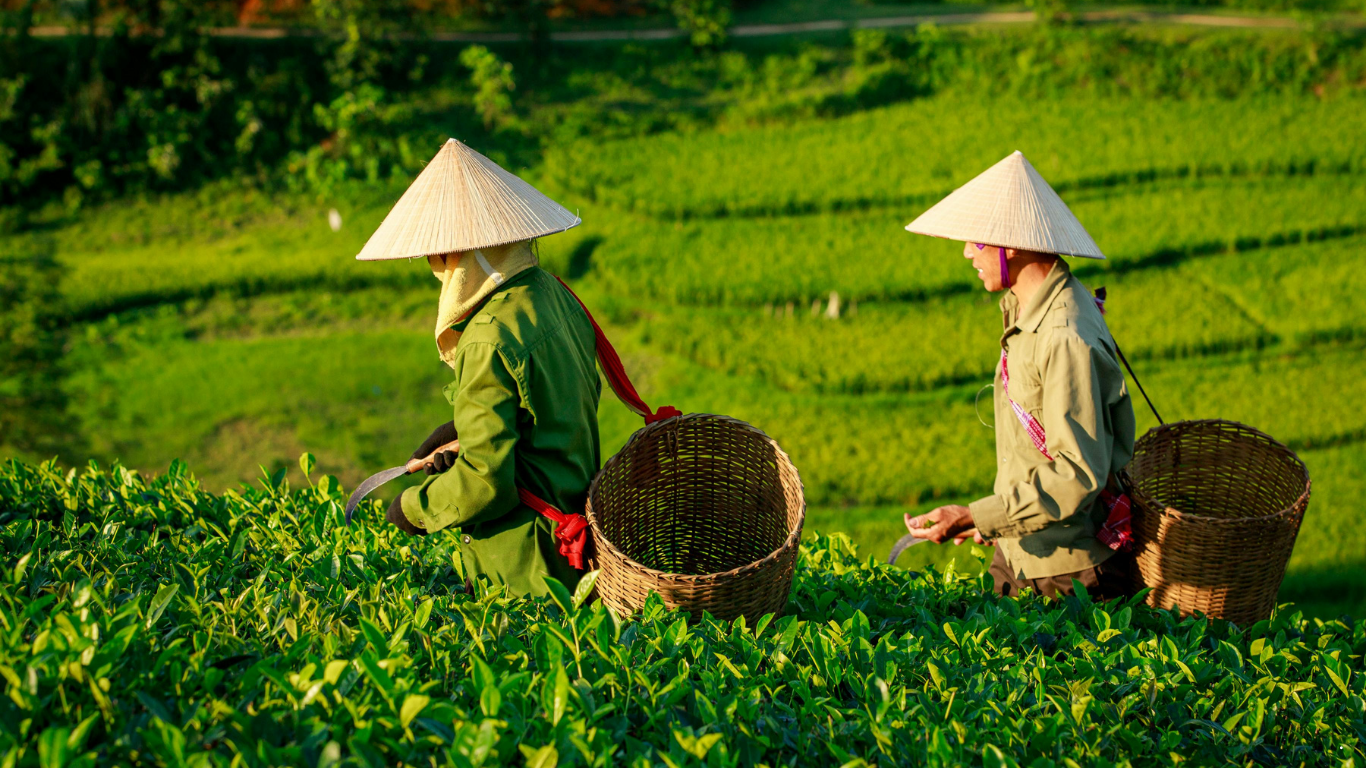 Návrh bez názvu (20)